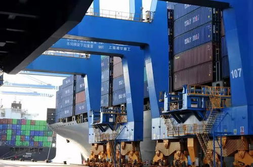 标杆城市的期中答卷 货物进出口成绩亮眼