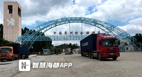 集拼出海，技术贸易双驱动 前7个月泉州市保税物流进出口突破百亿大关